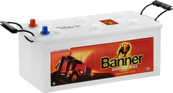 Banner Buffalo Bull 68032