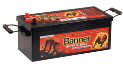 Banner Buffalo Bull Shd Professional 64503