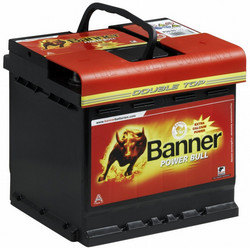 Banner Power Bull P5003