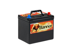 Banner Power Bull P6068