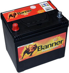 Banner Power Bull P6069