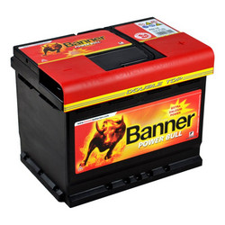 Banner Power Bull P6219