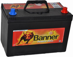 Banner Power Bull P9504