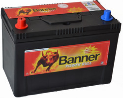 Banner Power Bull P9505