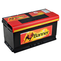 Banner Power Bull P9533